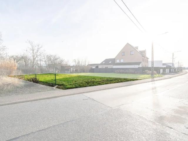 Terrain vente à Hamme, Oost-Vlaanderen