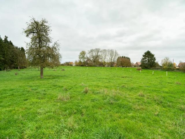 Terrain vente à Hannut, Wallonie