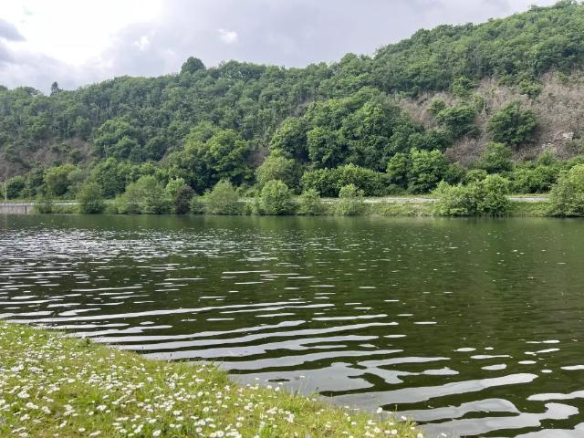 Terrain vente à Hastière, Wallonie