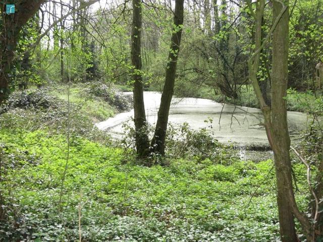 Terrain vente à Fleurus, Wallonie