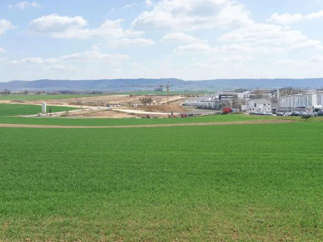 Terrain vente à Hoeselt, Limburg