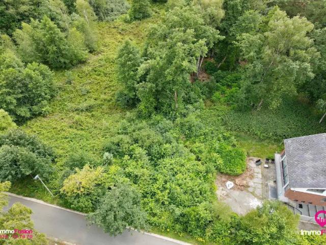 Terrain vente à Houthalen-helchteren, Limburg