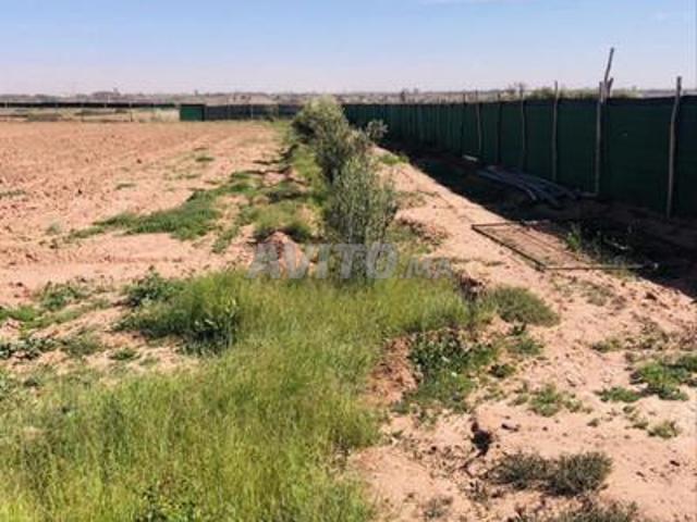 Propriété vente à Aït Melloul, Oued ed Dahab-Lagouira