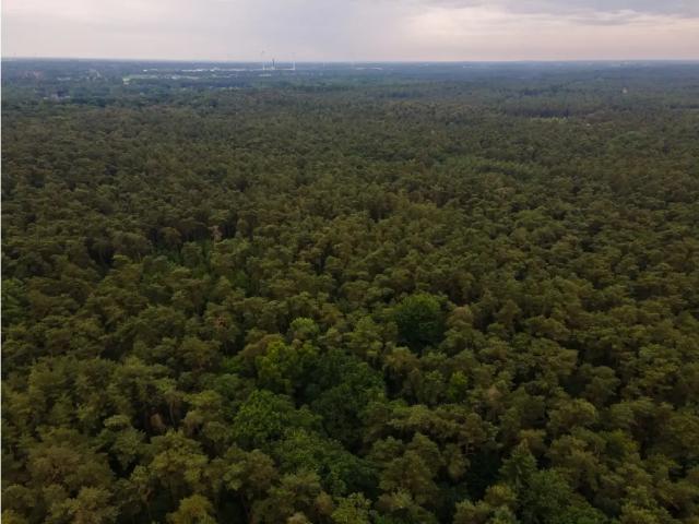 Terrain vente à Kasterlee, Antwerpen