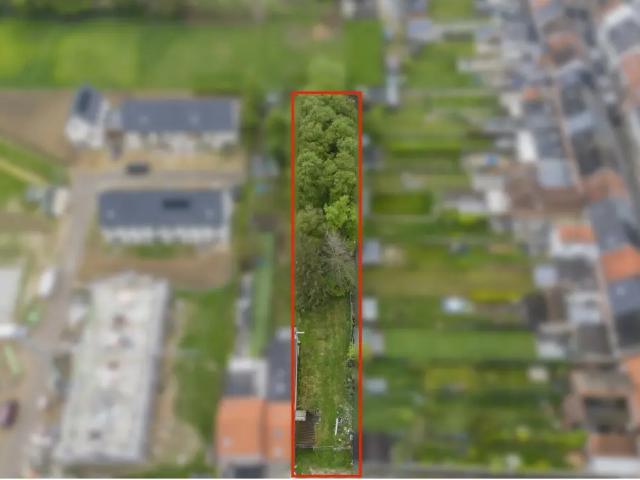 Terrain vente à Lebbeke, Oost-Vlaanderen