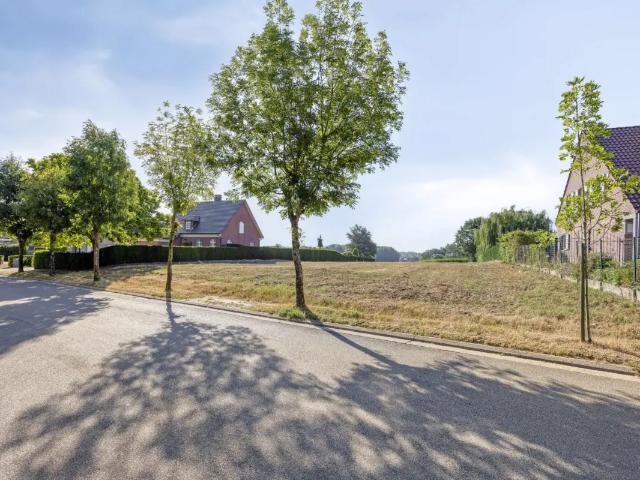 Terrain vente à Lede, Oost-Vlaanderen