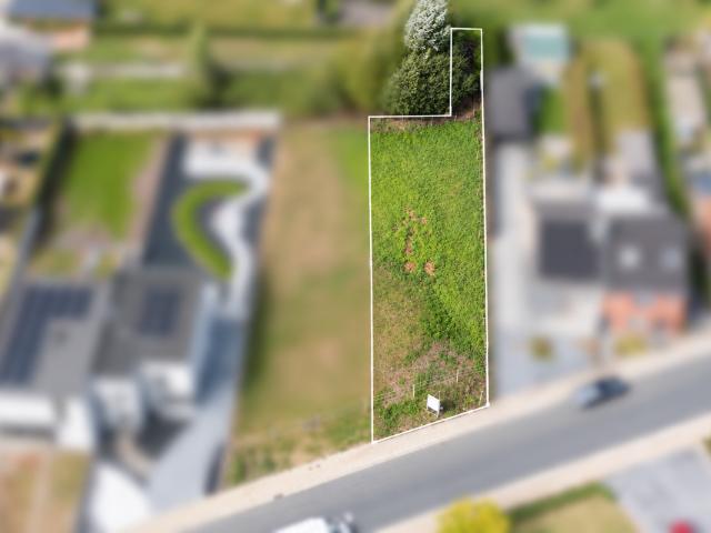 Terrain vente à Lede, Oost-Vlaanderen