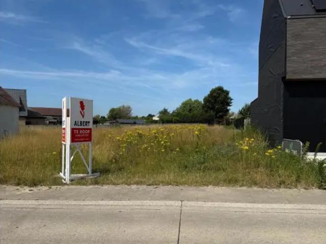 Terrain vente à Lede, Oost-Vlaanderen