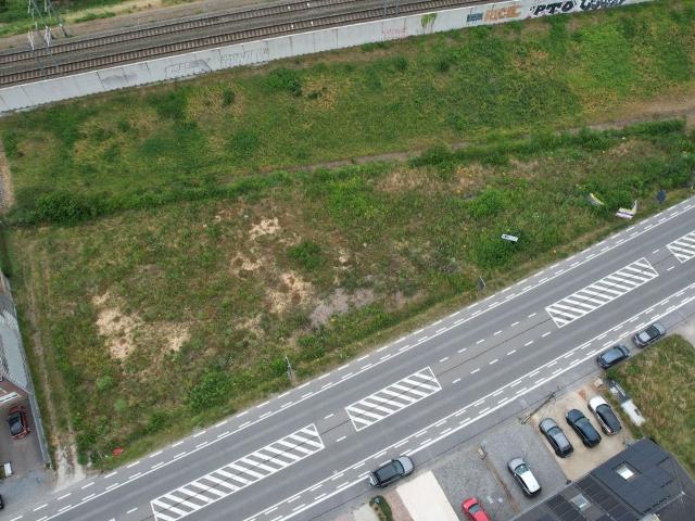 Terrain vente à Halle, Brabant