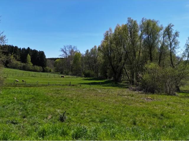 Terrain vente à Libin, Wallonie