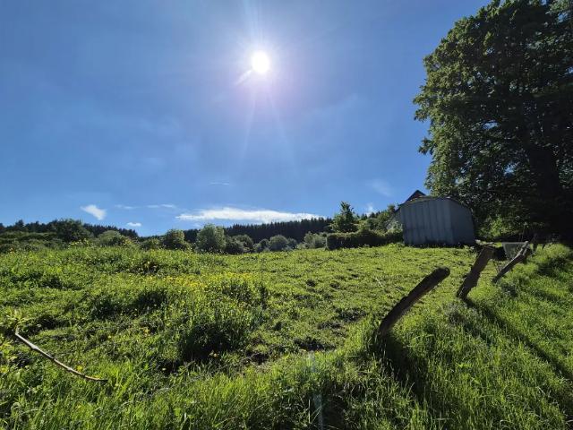Terrain vente à Manhay, Wallonie