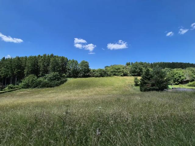 Terrain vente à Manhay, Wallonie