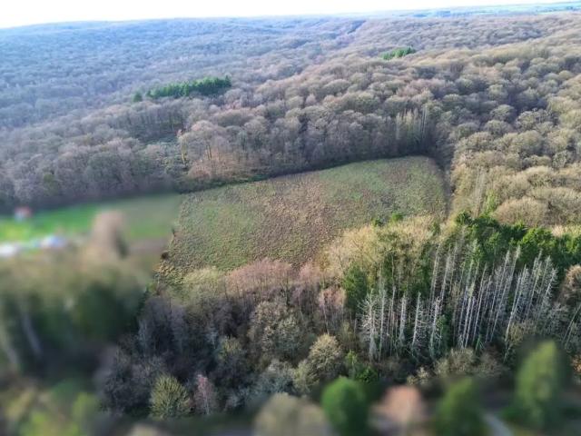 Terrain vente à Franchimont, Wallonie