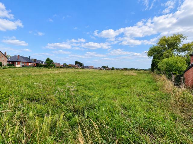 Terrain vente à Ninove, Oost-Vlaanderen