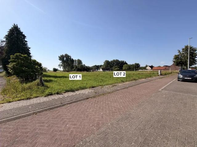 Terrain vente à Scheldewindeke, Oost-Vlaanderen