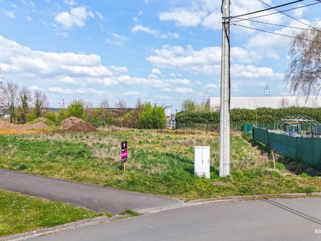 Terrain vente à Beringen, Limburg