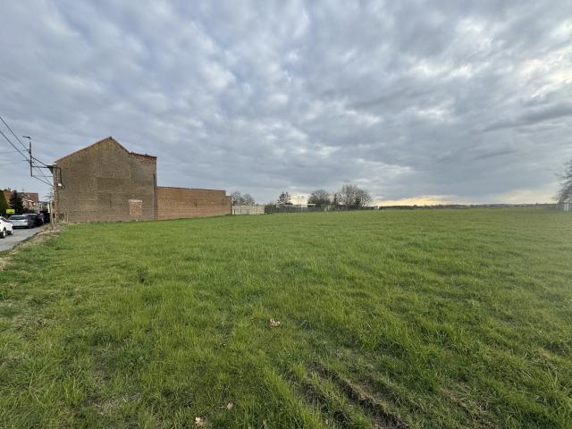 Terrain vente à Halle, Brabant