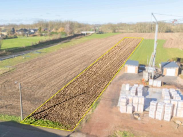 Terrain vente à Deftinge, Oost-Vlaanderen
