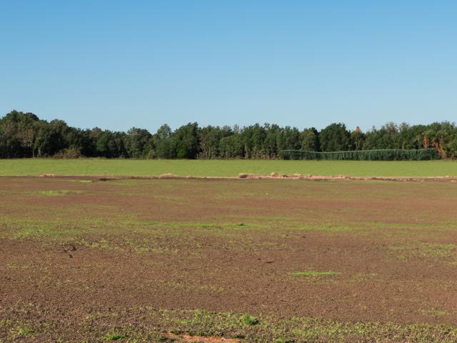 Terrain vente à Waver, Wallonie