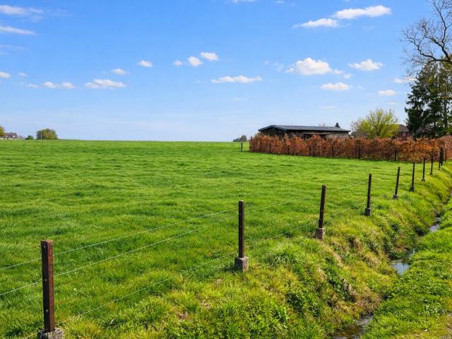 Terrain vente à Profondeville, Wallonie