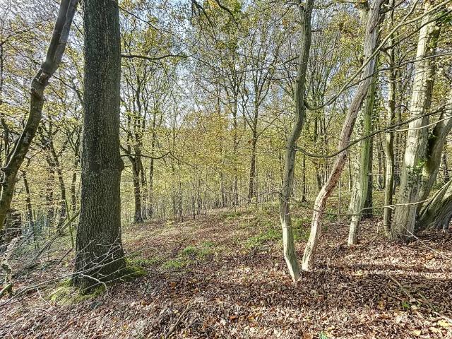 Terrain vente à Sprimont, Wallonie