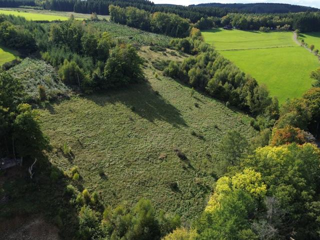 Terrain vente à Stavelot, Wallonie
