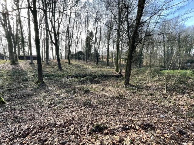 Terrain vente à Tervueren, Brabant