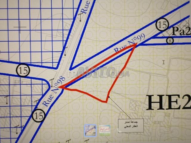 Terrain vente à Essaouira, L'Oriental