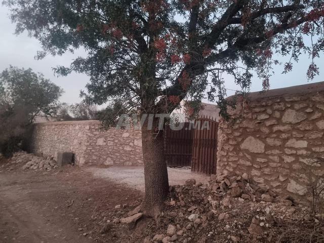 Propriété vente à Essaouira, L'Oriental