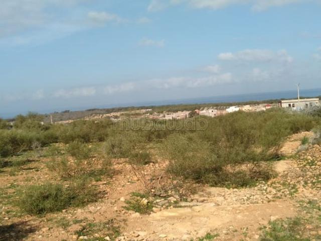 Terrain vente