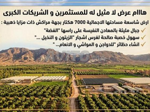 Propriété vente à Mellal