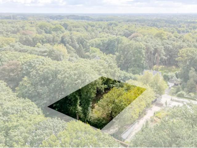 Terrain vente à Waasmunster, Oost-Vlaanderen