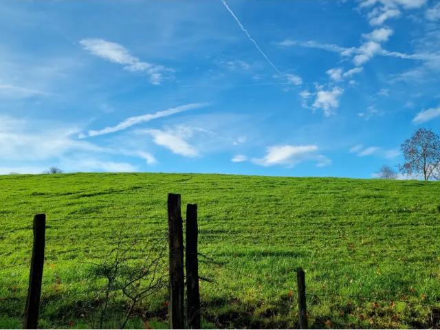 Terrain vente à Champagne, Wallonie