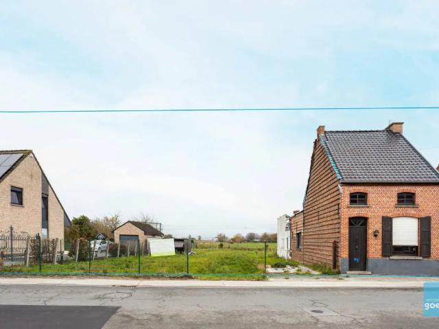 Terrain vente à Wichelen, Oost-Vlaanderen