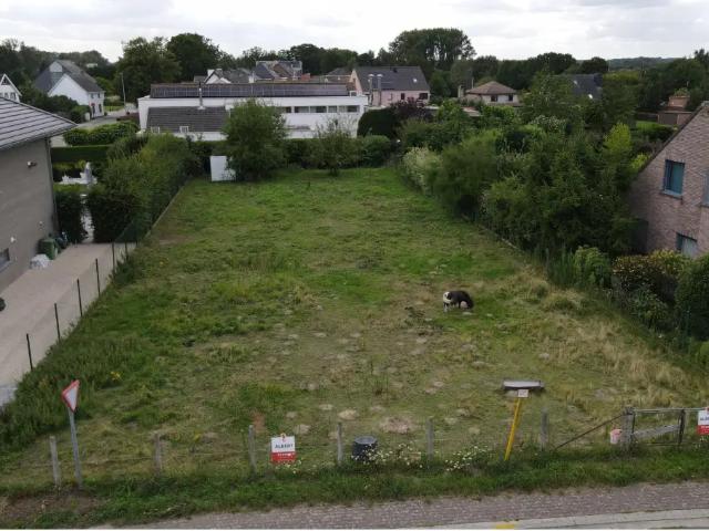 Terrain vente à Wichelen, Oost-Vlaanderen