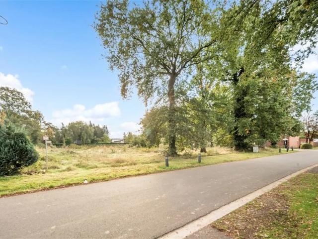 Terrain vente à Zonhoven, Limburg