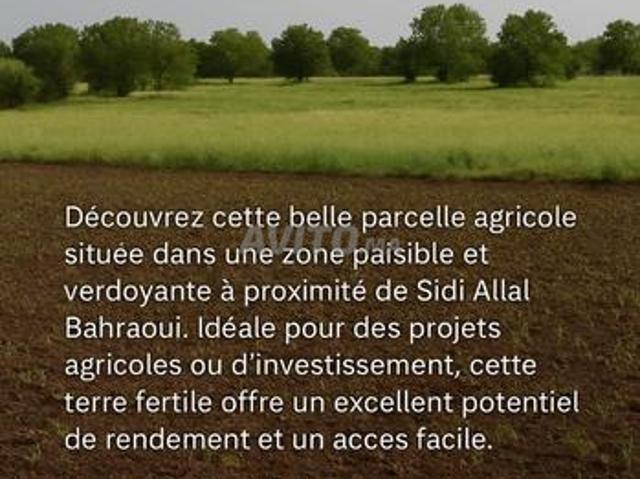 Propriété vente à Sidi Allal El Bahraoui