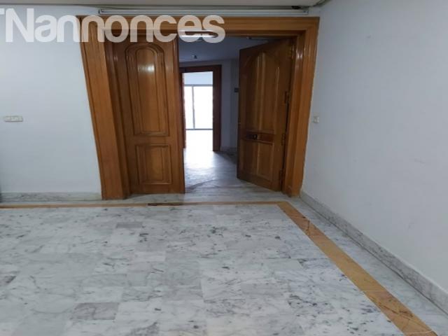 Appartement location