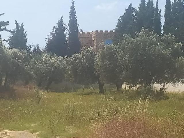 Propriété vente à Beni Khalled