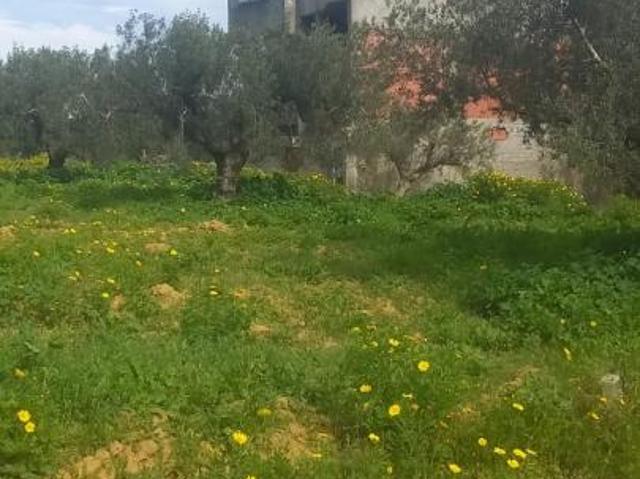 Propriété vente à Beni Khalled