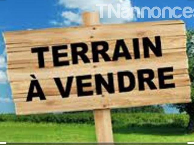 Terrain vente