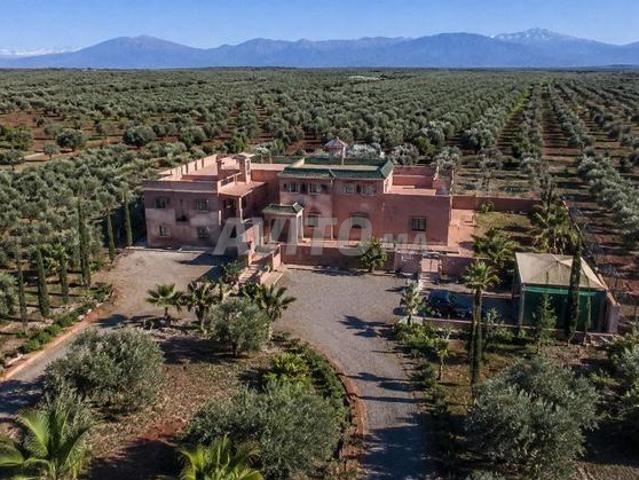 Propriété vente à L'Oriental