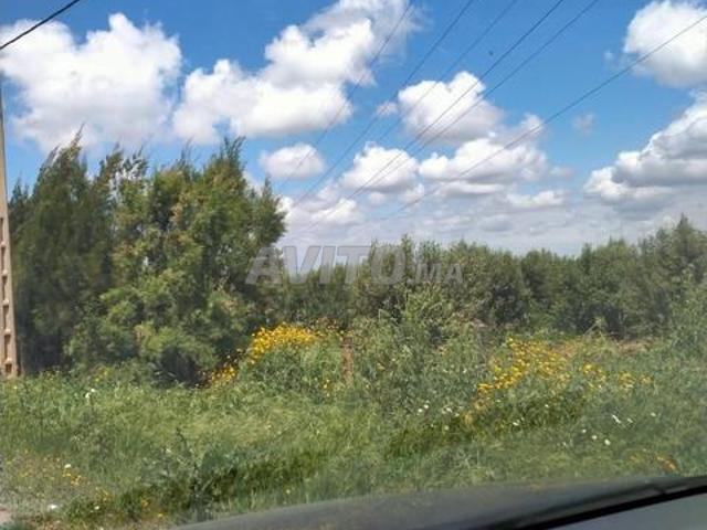 Propriété vente à Mediouna, Gharb-Chrarda-Beni Hssen