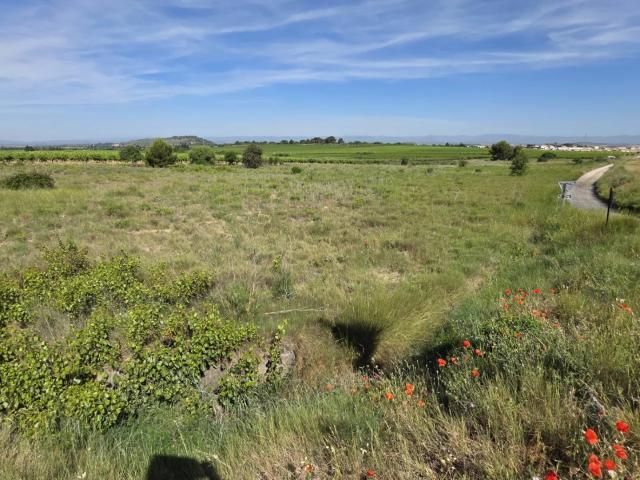 Terrain vente à Béziers, Nissan-lez-enserune