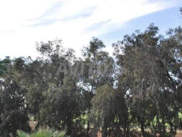Maison vente à Anfa, Sidi Belyout