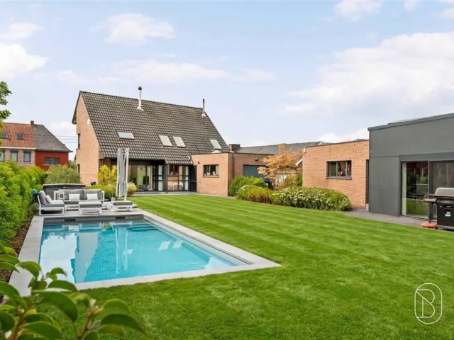 Chalet vente à Anzegem, West-Vlaanderen