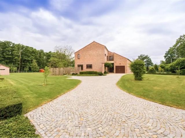 Chalet vente à Begijnendijk, Brabant