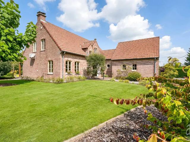 Chalet vente à Ellezelles, Wallonie