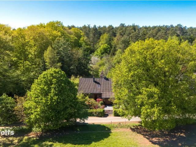 Chalet vente à Sprimont, Wallonie