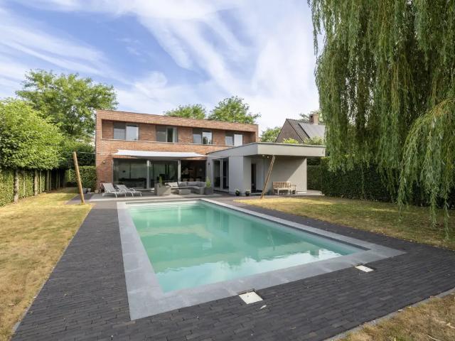 Chalet vente à Hoogstraten, Antwerpen